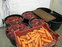 IMG 0226