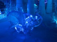 IMG 6164