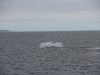 Tadoussac (44)