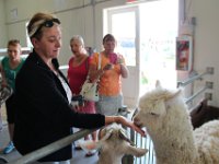 Ferme Guyon (6)