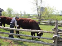 Hupper village (113)