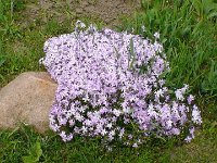 Milles iles (43)
