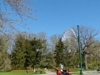 Niagara (41)