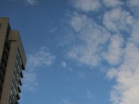 Toronto (13)