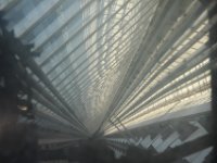 Toronto (26)
