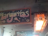 Toronto (51)