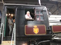 Trains (38)