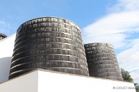 IMG 4310